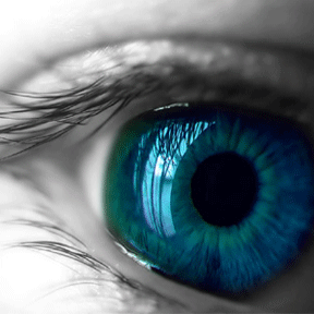 yeux bleu.........